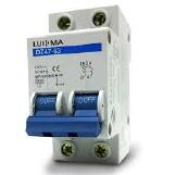 MINI DISJUNTOR 2X50A DZ47-63 CKW
