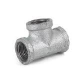 TEE FG 1 ROSCA BSP